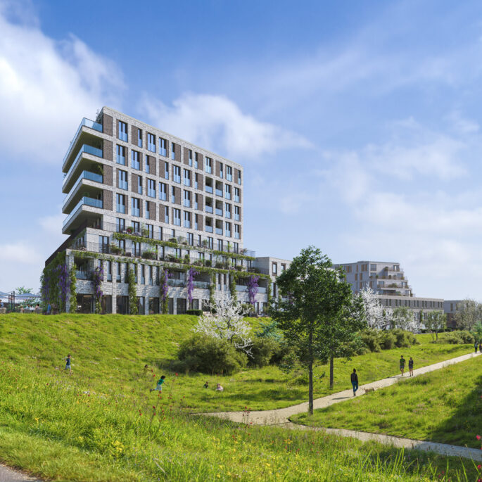 Zuidhof fase 2