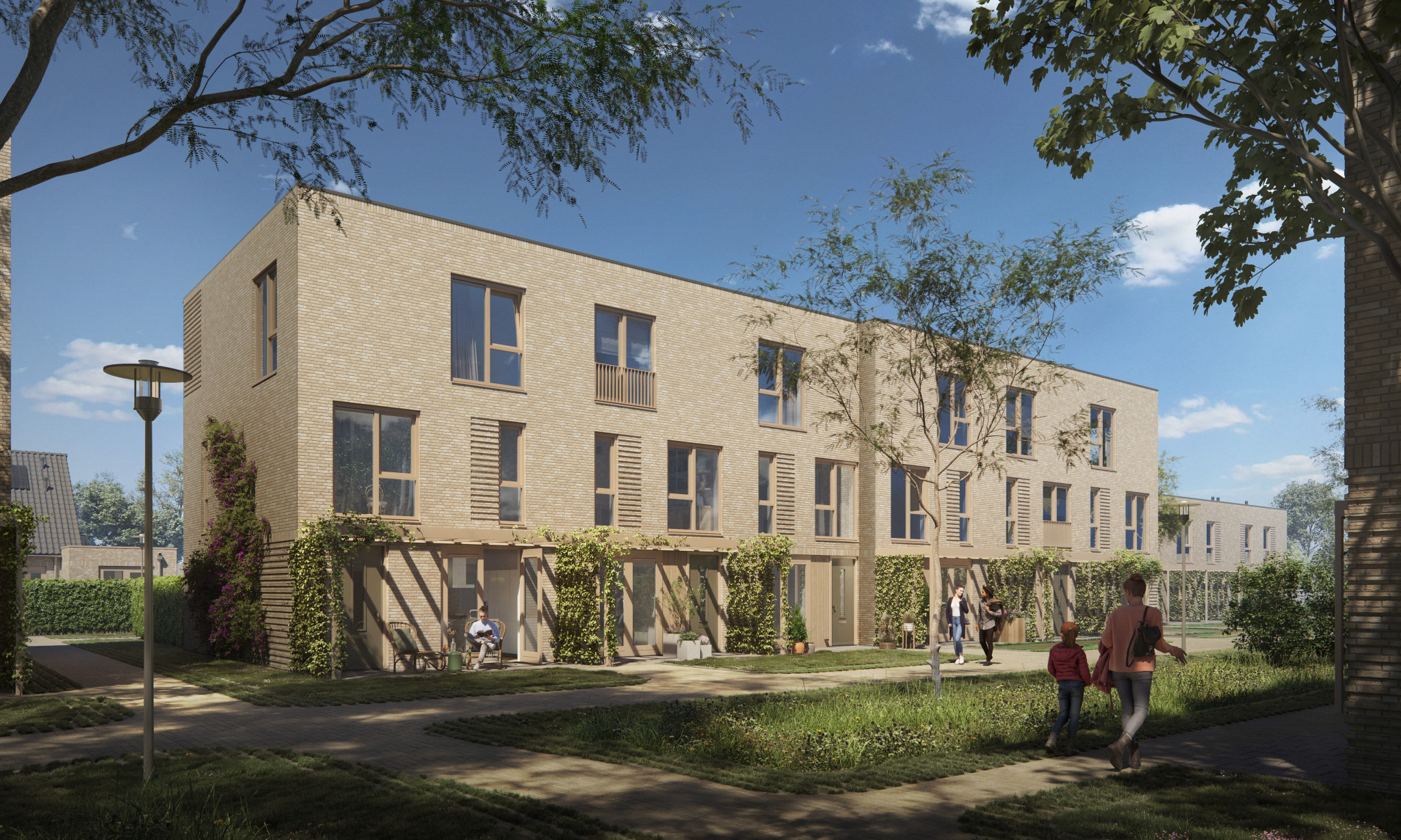 32857 - Ext 02-small (Iris en Aronia)