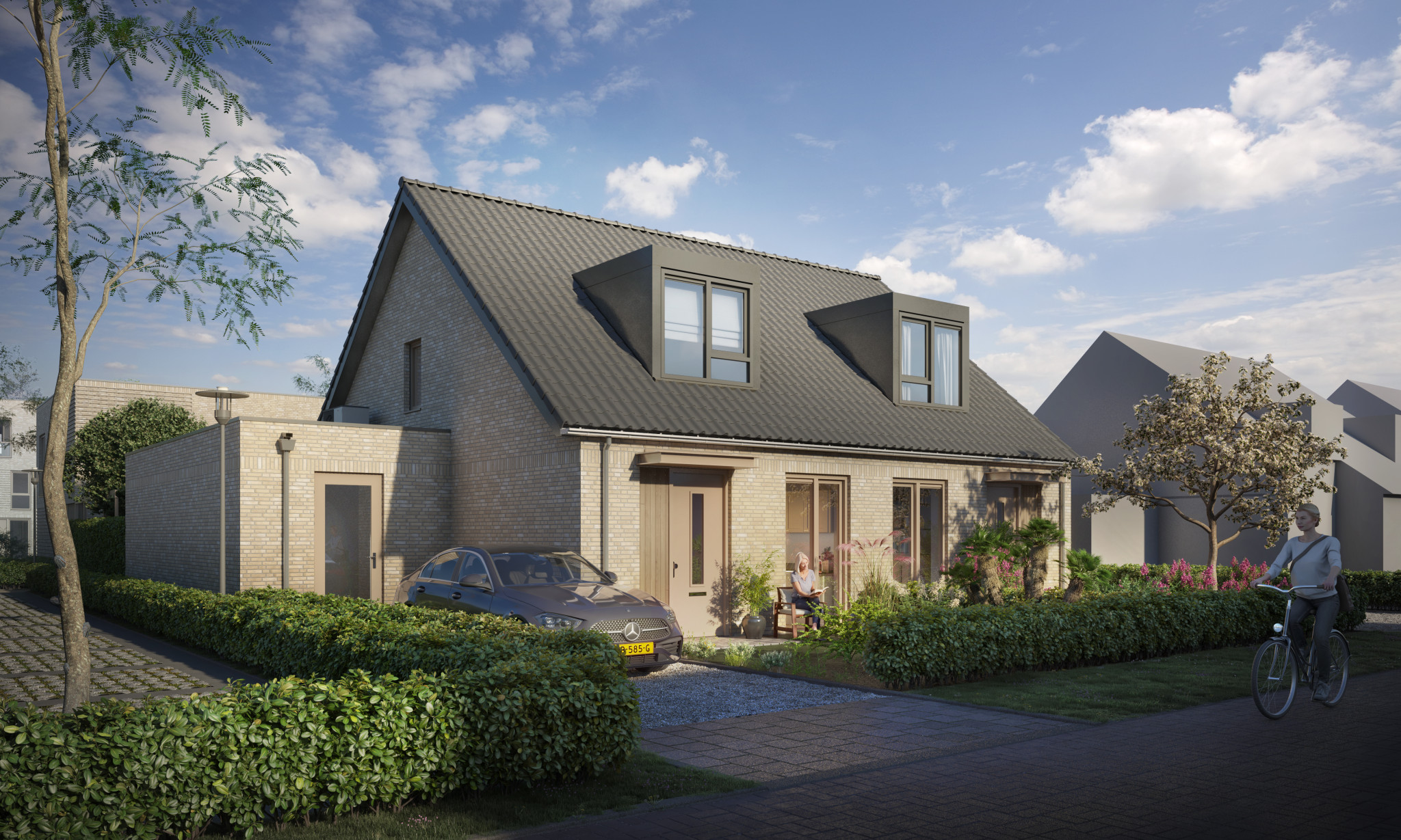 32857 - Ext 03-small (Lijsterbes)