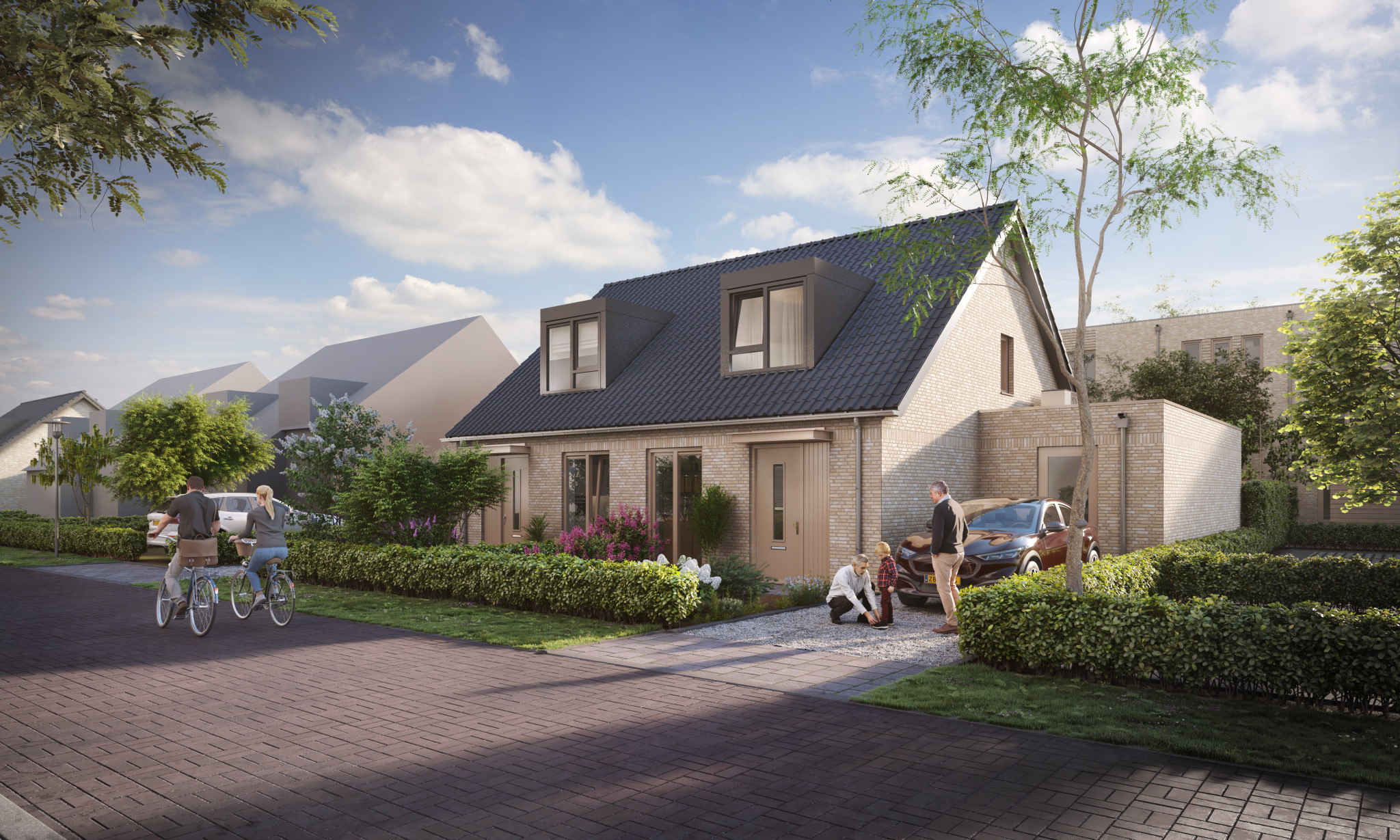 32857 - Ext 04-small (Lijsterbes)