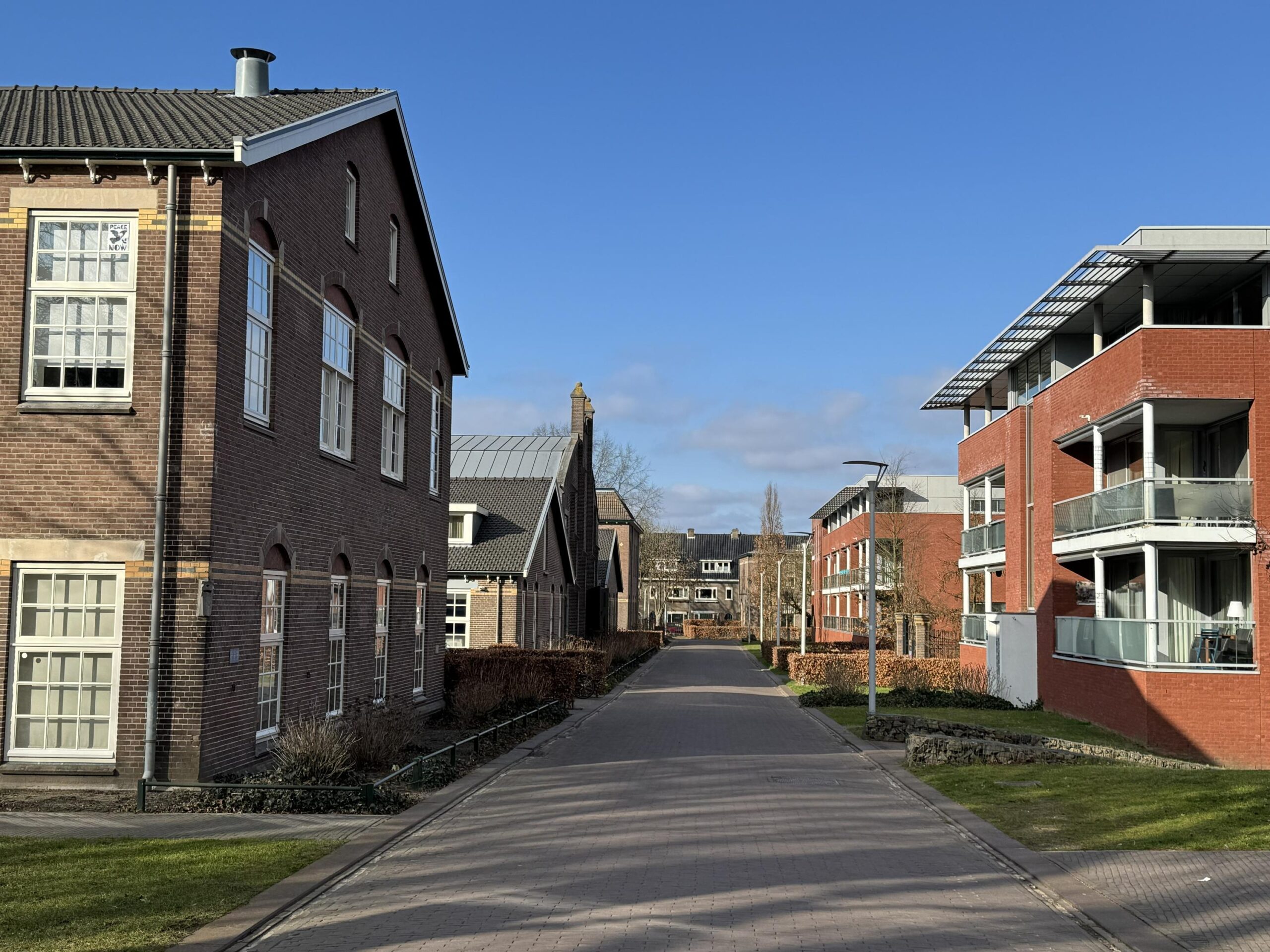 Beeld Limosterrein 1