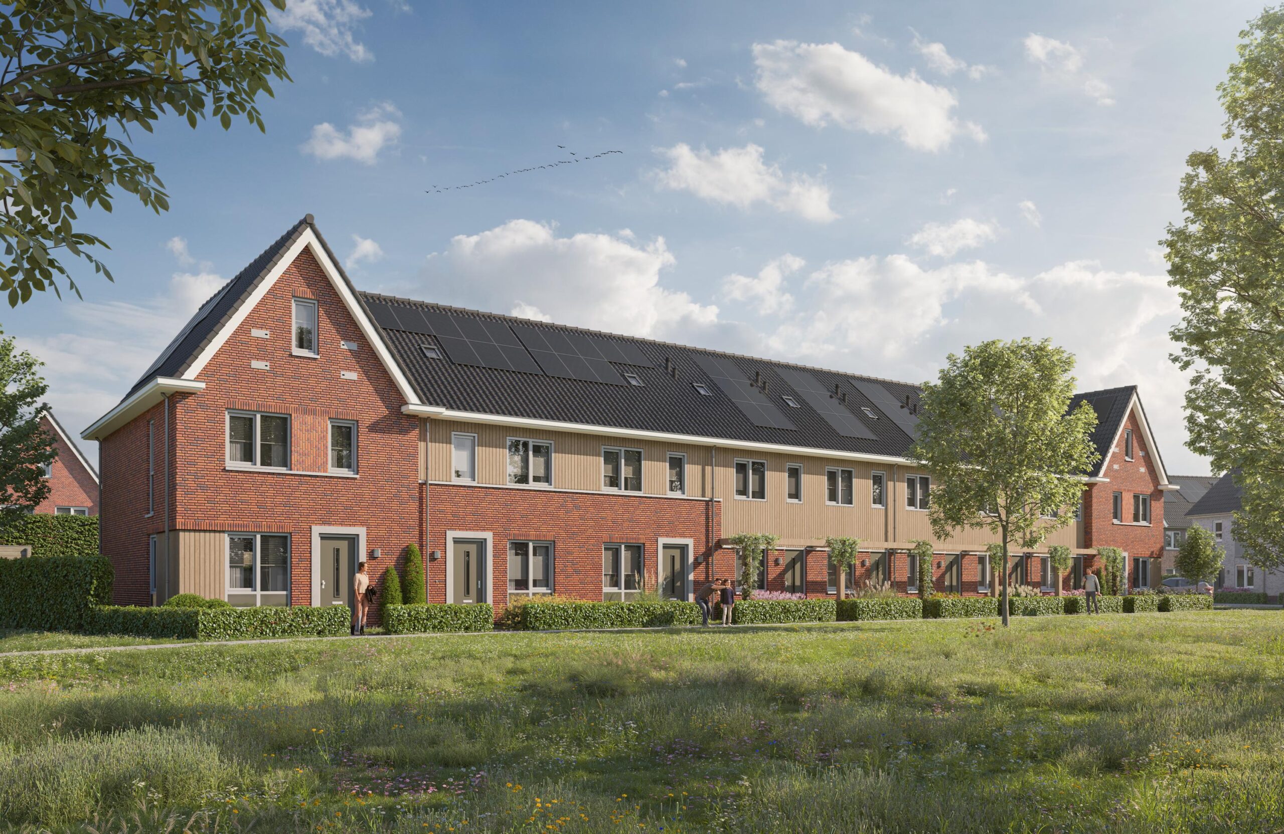 24134_EXT_Molenhoek-Zuid_Fase1_TypeB_STP01_zonderlogo_V02