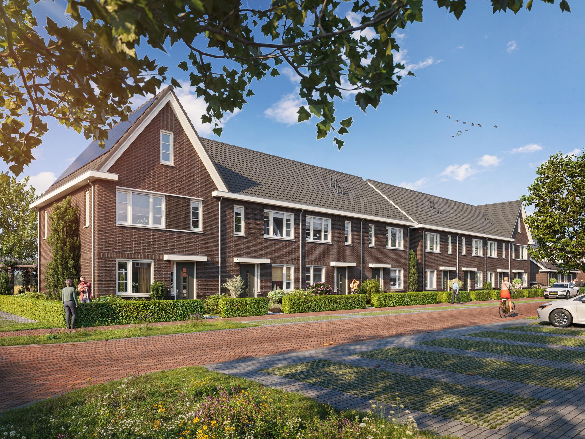 Korenveld fase2